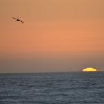 CambriaCN_177 (October 25, 2014)